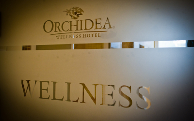 hotel orchidea